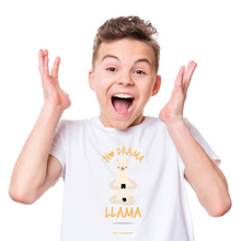 Load image into Gallery viewer, No Drama Llama Kids Short Sleeve T-Shirt