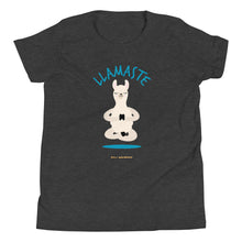 Load image into Gallery viewer, Llamaste Youth Short Sleeve T-Shirt
