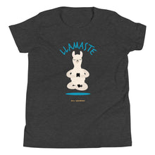 Load image into Gallery viewer, Llamaste Youth Short Sleeve T-Shirt

